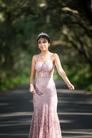 Quinceanos de Alejandra Mora 0039