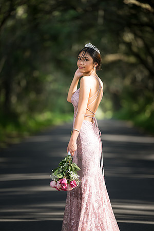 Quinceanos de Alejandra Mora 0048