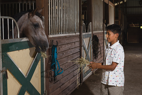 Hacienda de caballos 0027