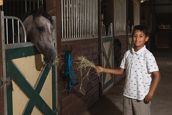 Hacienda de caballos 0028