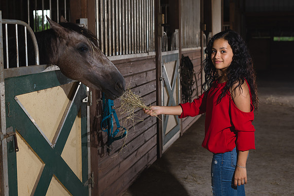 Hacienda de caballos 0029