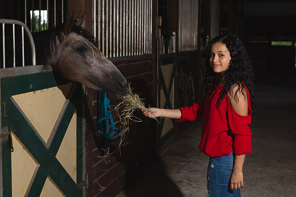 Hacienda de caballos 0030