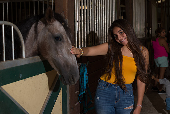 Hacienda de caballos 0033