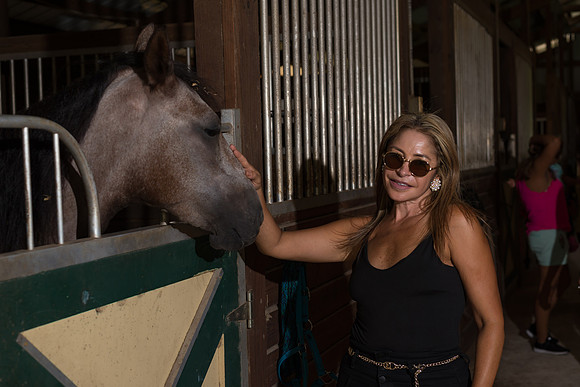 Hacienda de caballos 0035