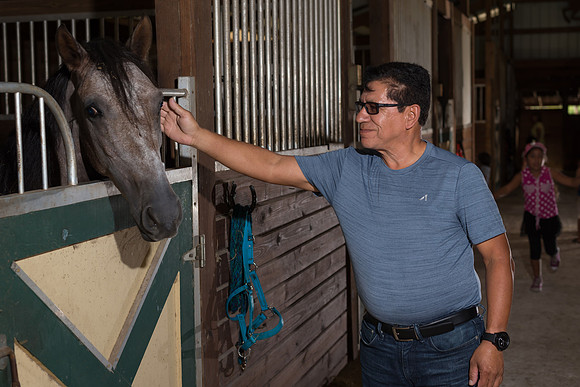 Hacienda de caballos 0044