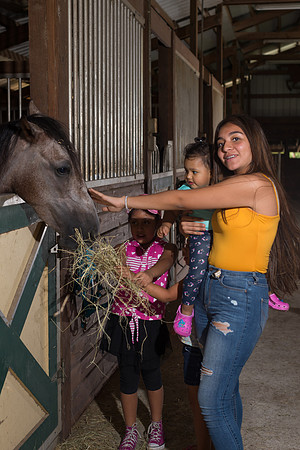 Hacienda de caballos 0045
