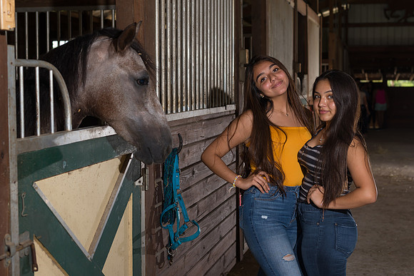 Hacienda de caballos 0051