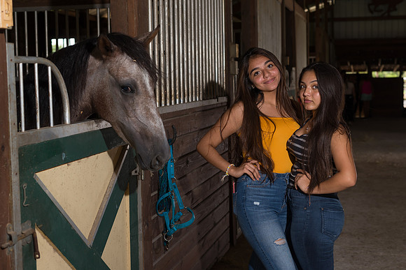 Hacienda de caballos 0052