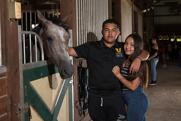 Hacienda de caballos 0055