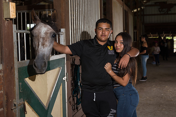 Hacienda de caballos 0056