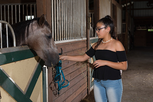 Hacienda de caballos 0059