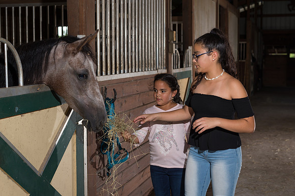 Hacienda de caballos 0060