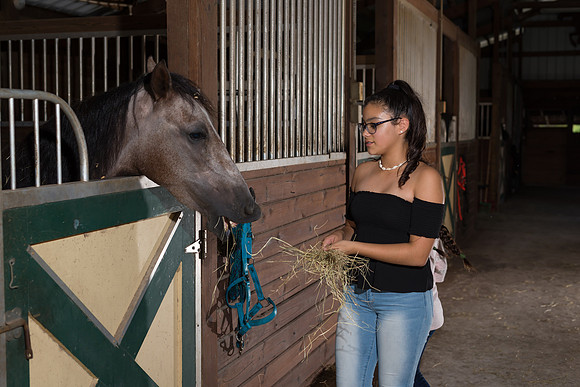 Hacienda de caballos 0061