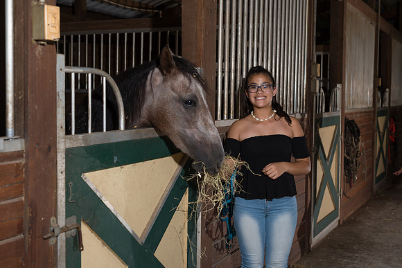 Hacienda de caballos 0062