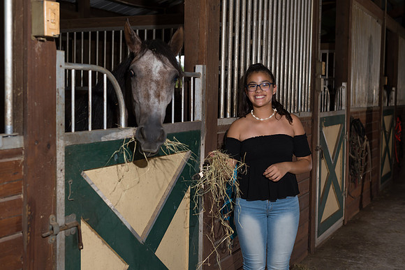 Hacienda de caballos 0063