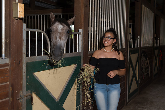 Hacienda de caballos 0064