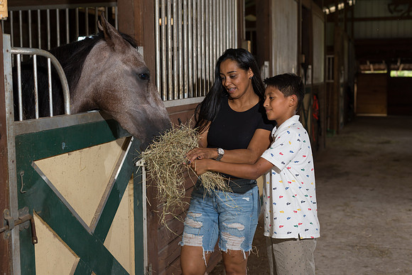 Hacienda de caballos 0068