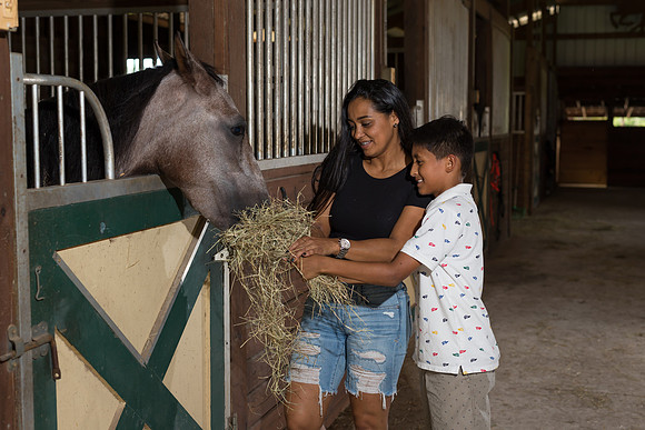 Hacienda de caballos 0069