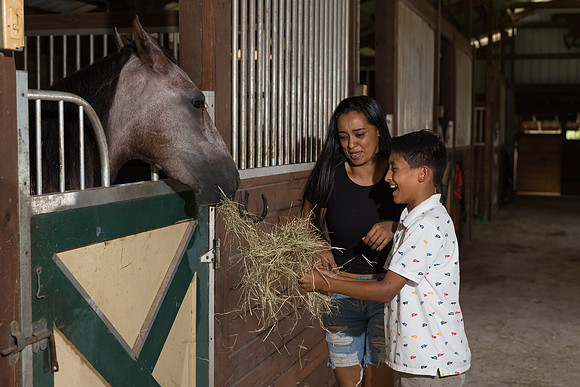 Hacienda de caballos 0070