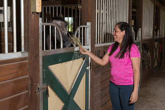 Hacienda de caballos 0075