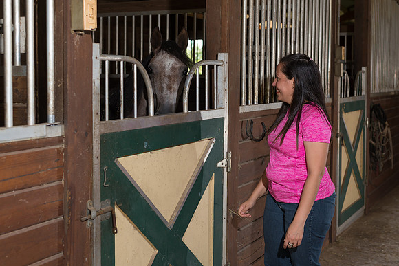 Hacienda de caballos 0079