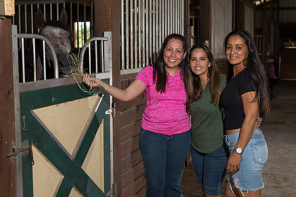 Hacienda de caballos 0082