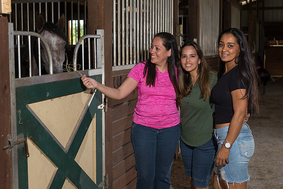 Hacienda de caballos 0083