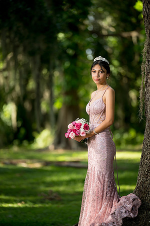 Quinceanos de Alejandra Mora 0059