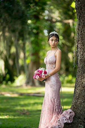 Quinceanos de Alejandra Mora 0055