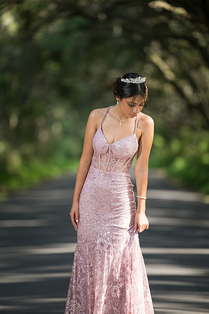 Quinceanos de Alejandra Mora 0022
