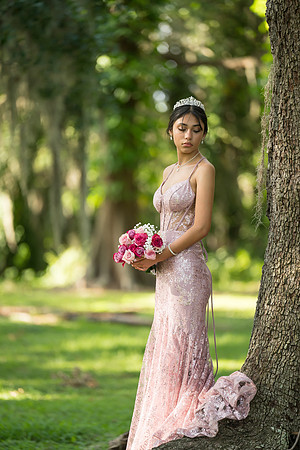 Quinceanos de Alejandra Mora 0054