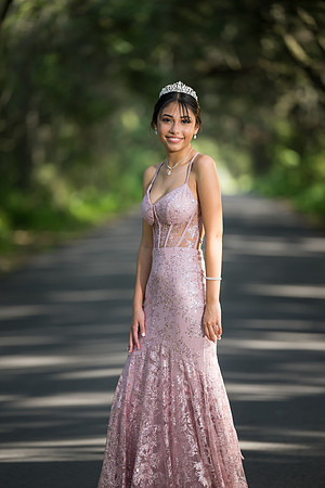 Quinceanos de Alejandra Mora 0005