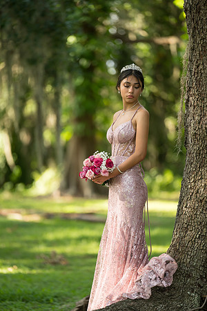 Quinceanos de Alejandra Mora 0053