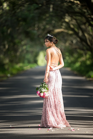 Quinceanos de Alejandra Mora 0041