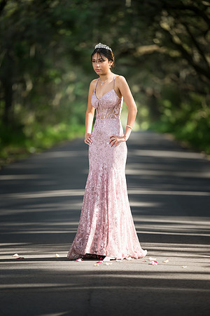 Quinceanos de Alejandra Mora 0040